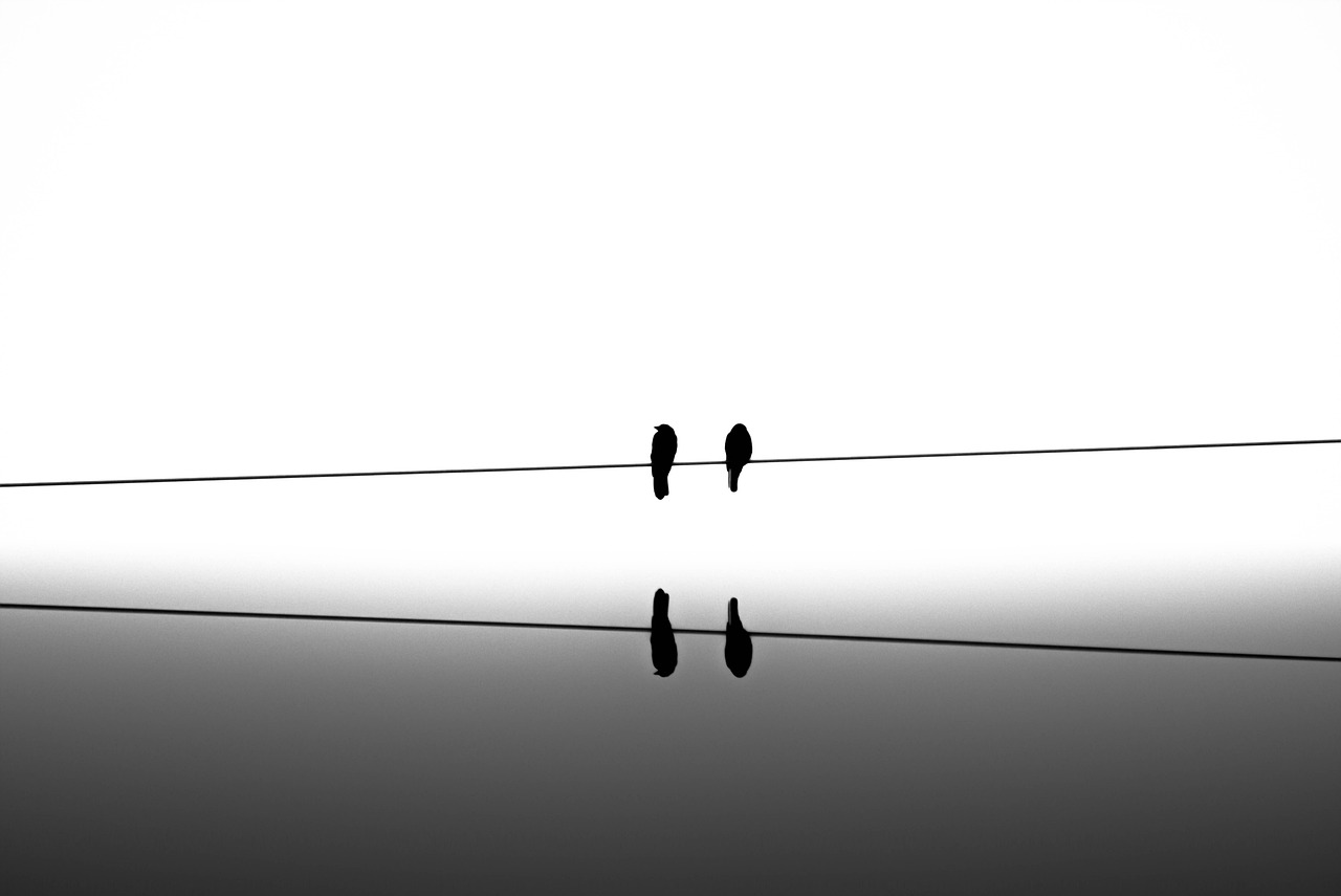 How to Develop a Comprehensive Risk Management Plan
